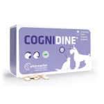 Cognidine 30 Comp