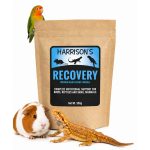 Harrison Recovery Papilla Para Aves, Reptiles Y Pequeños Mamíferos
